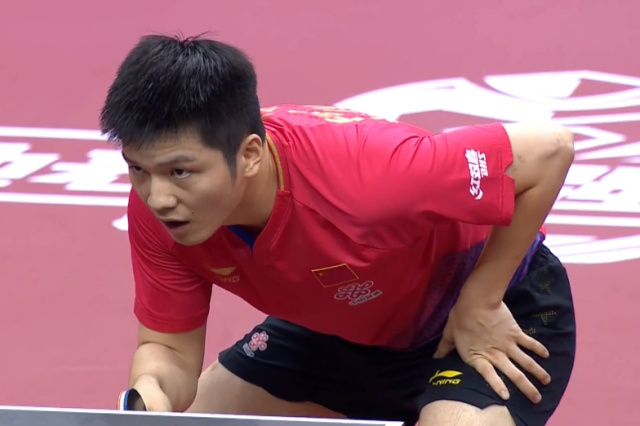 动会吸引了 动会吸引了