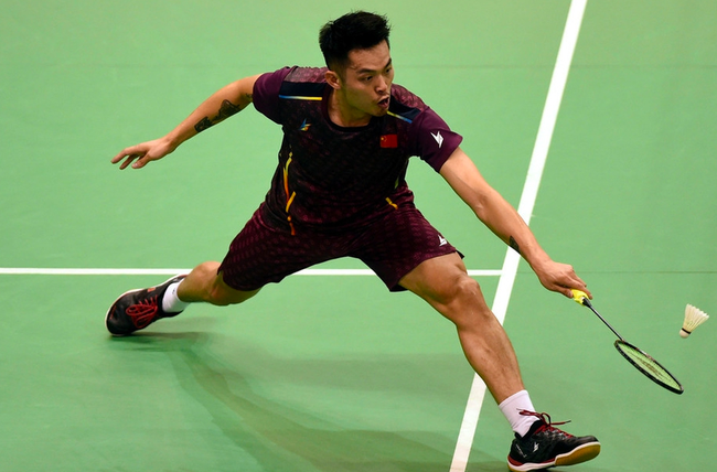 板上展示了 板上展示了